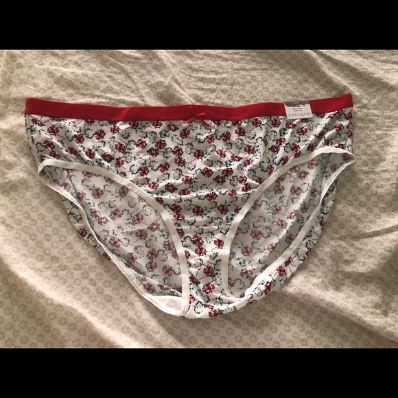 Lane Bryant Other - Lane Bryant - No Show Hipster Panty Lane Bryant Other - Lane Bryant - No Show Hipster Panty
